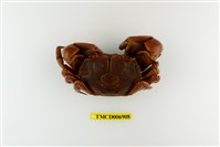 藏品(隆背張口蟹)的圖片